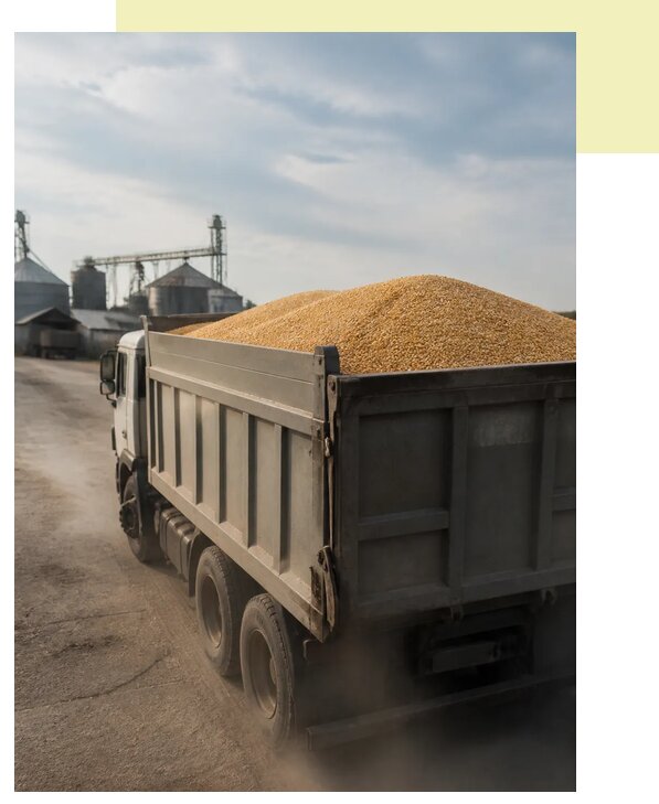 Перевозка сельхозпродукции навалом в Копейск по цене от 3079 р. | Агросервис-Кпс